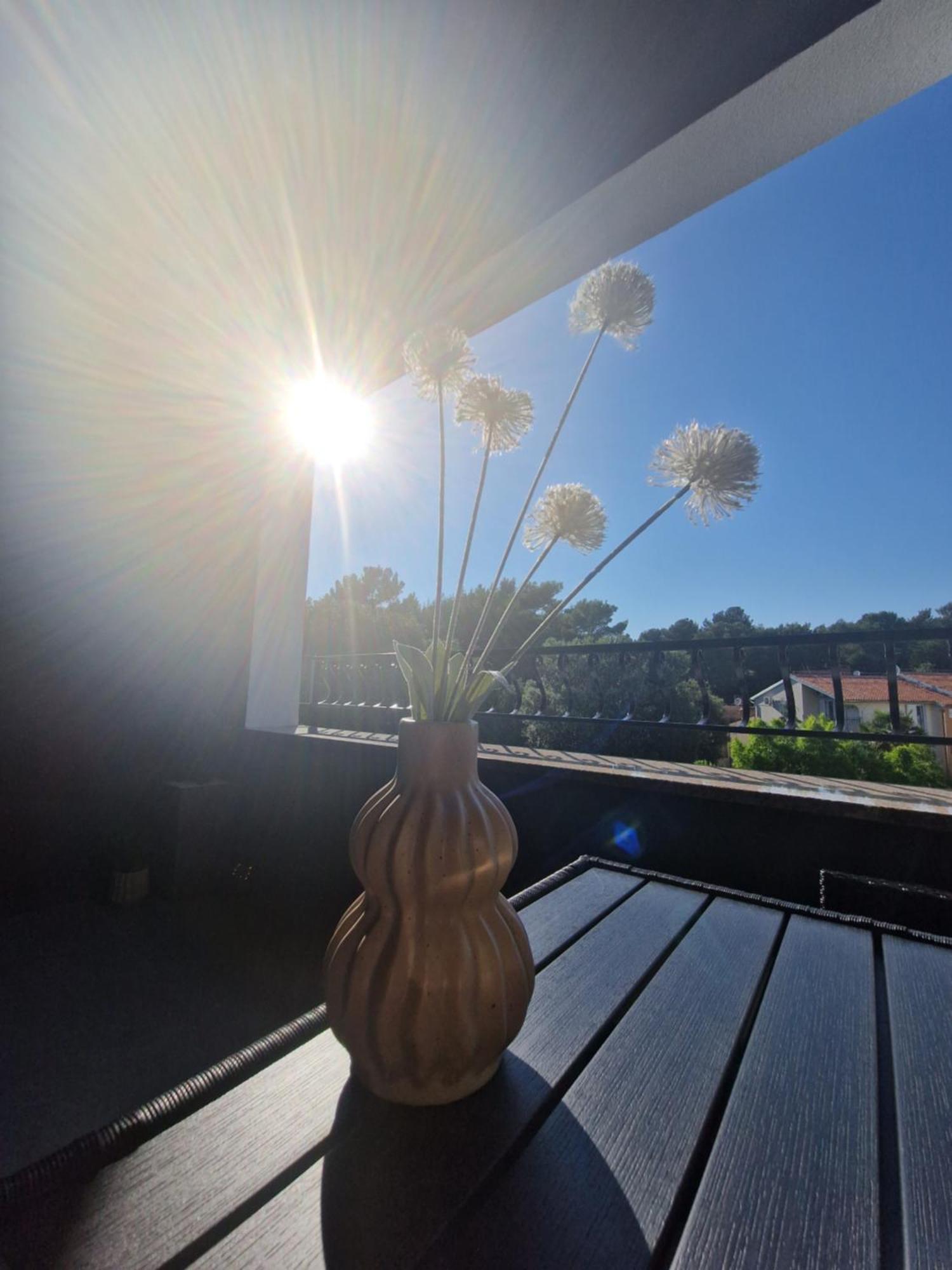 Apartments Jasna Rovinj Chambre photo